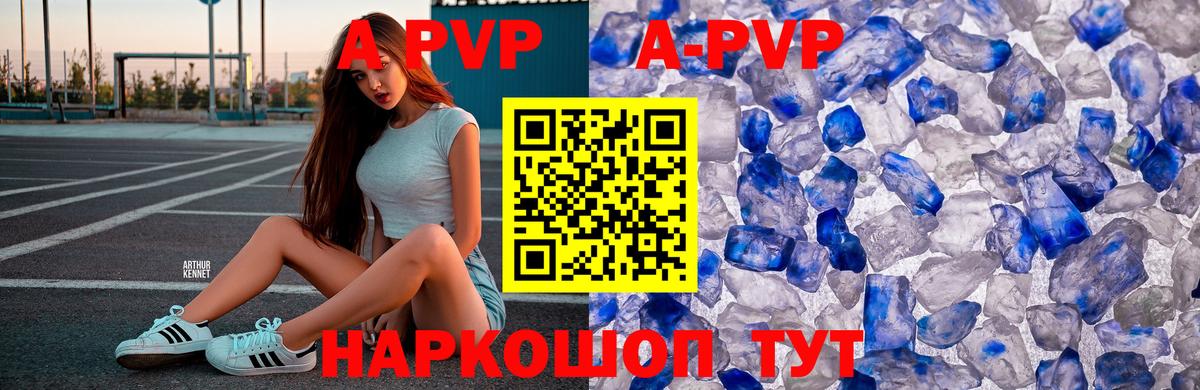 A PVP СК КРИС Малоярославец