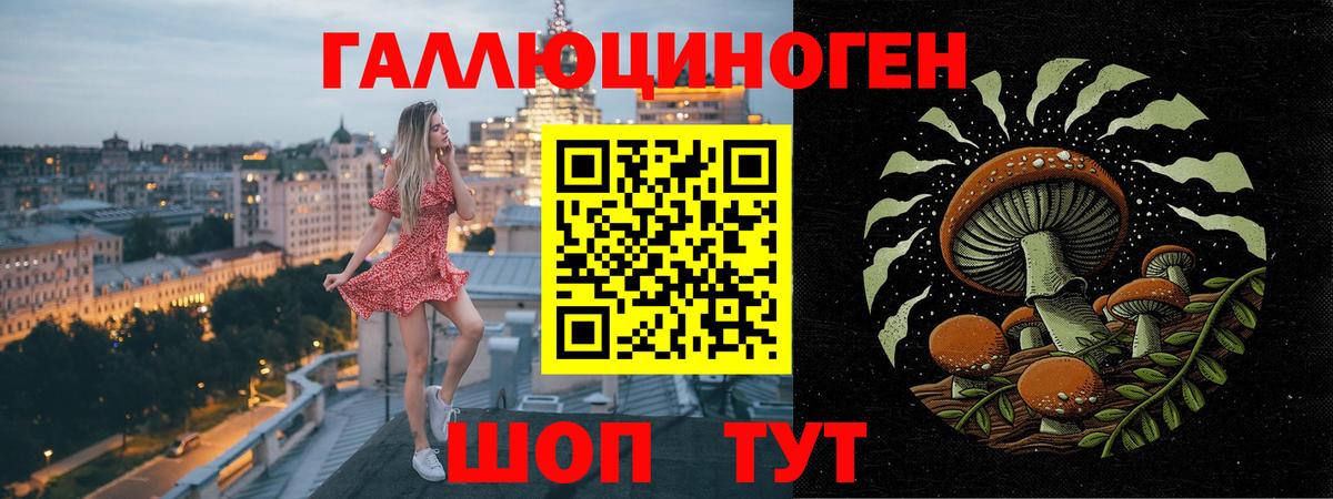 Малоярославец  Псилоцибиновые грибы Magic Shrooms  Вход с VPN 